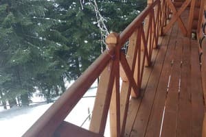 Лесная ягода 21