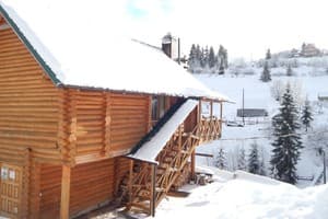 Лесная ягода 20