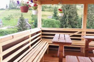 Лесная ягода 18