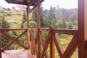 Лесная ягода 23