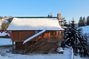 Лесная ягода 24