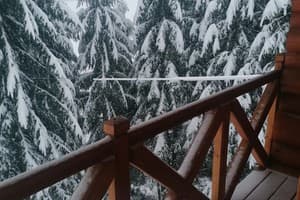 Лесная ягода 18