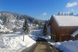 Лесная ягода 17