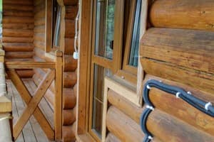 Лесная ягода 13