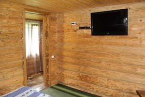 Лесная ягода 3