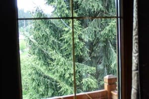 Лесная ягода 7