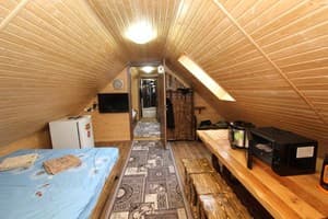 Лесная ягода 25