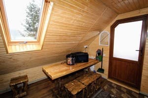 Лесная ягода 27