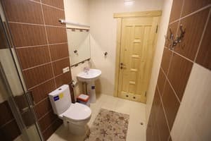 Мини-отель Лесной Цветок. Стандарт двухместный double  1