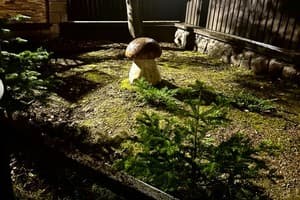 Лесной Сруб 24