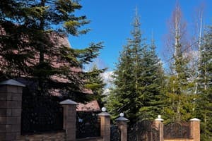 Лесной Сруб 29