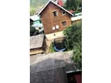 Лев у Светланы 6