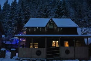 Лісова хатина 18