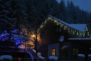 Лісова хатина 1