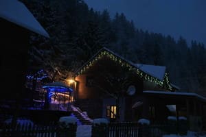 Лісова хатина 2