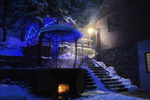 Лісова хатина 3