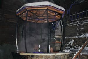 Лісова хатина 5