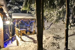 Лісова хатина 6