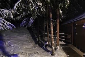 Лісова хатина 7