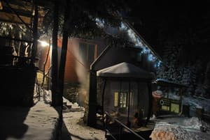 Лісова хатина 8