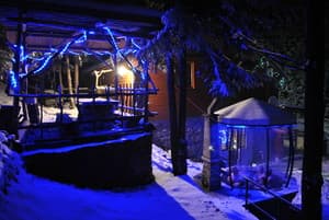 Лісова хатина 9