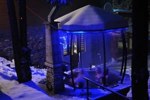 Лісова хатина 10