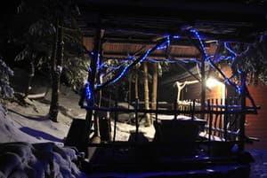 Лісова хатина 11