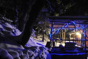 Лісова хатина 12