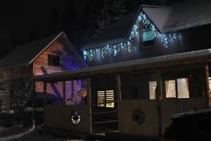 Лісова хатина 13