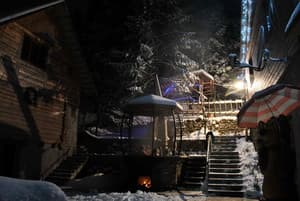 Лісова хатина 15