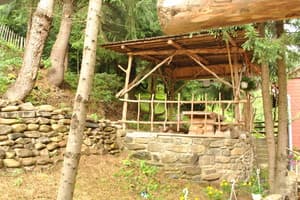 Лісова хатина 2