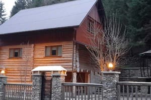 Лісова хатина 20