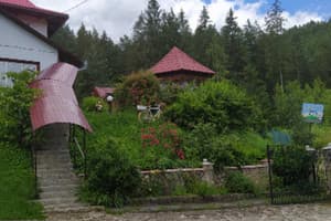 Лісова казка 3