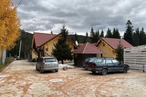 Лісова перлина 12