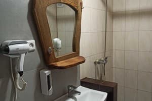 Частная усадьба Лісова перлина. Апартаменты трехместный  6