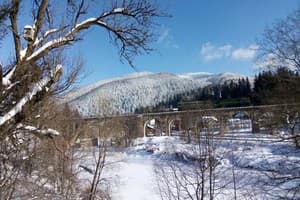 Частная усадьба Магурчик