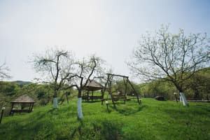 Мараморош 23