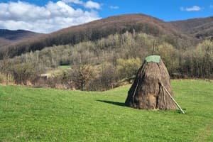 Квартира Meadow. Апартаменти тримісний  26