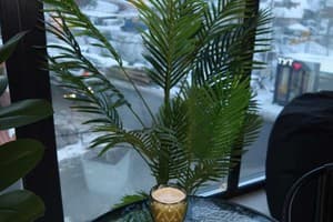 Milana SPA & Hotel -Breakfast and SPA included 97