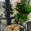 Milana SPA & Hotel -Breakfast and SPA included 97-98/109