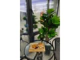 Milana SPA & Hotel -Breakfast and SPA included 97