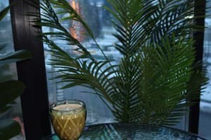 Milana SPA & Hotel -Breakfast and SPA included 72