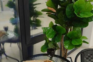 Milana SPA & Hotel -Breakfast and SPA included 73