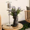 Milana SPA & Hotel -Breakfast and SPA included 90-91/109