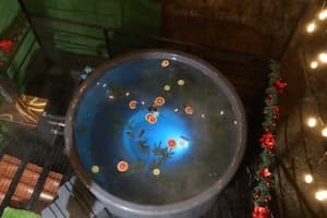 Milana SPA & Hotel -Breakfast and SPA included 2