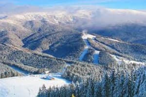 Миллениум 9