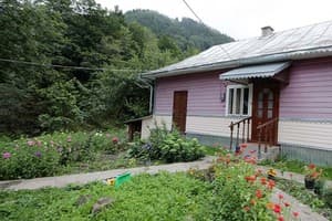 Приватна садиба Мрія