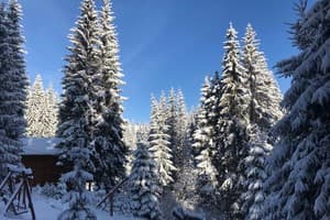 Над Струмком 14