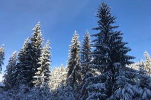 Над Струмком 19