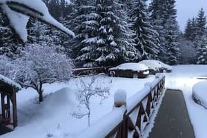 Над Струмком 1